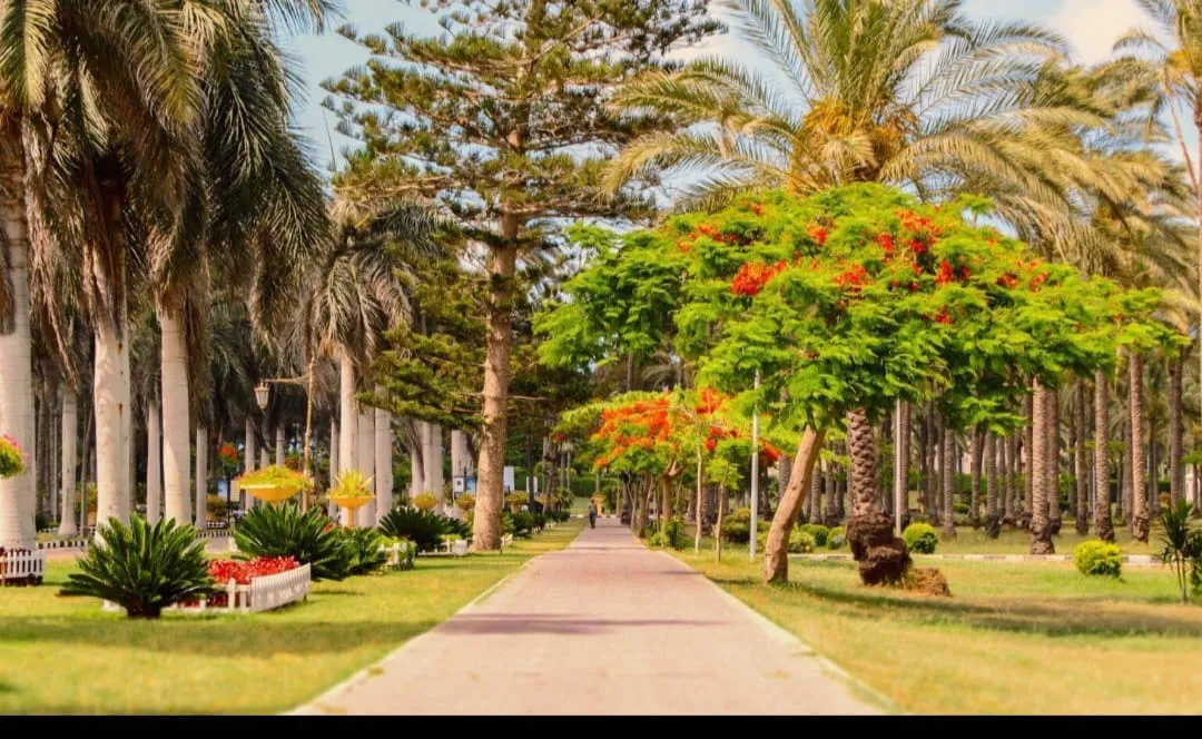 Montaza palace garden tour program Discover the royal beauty of Alexandria /IMG-20260701-WA0012.jpg